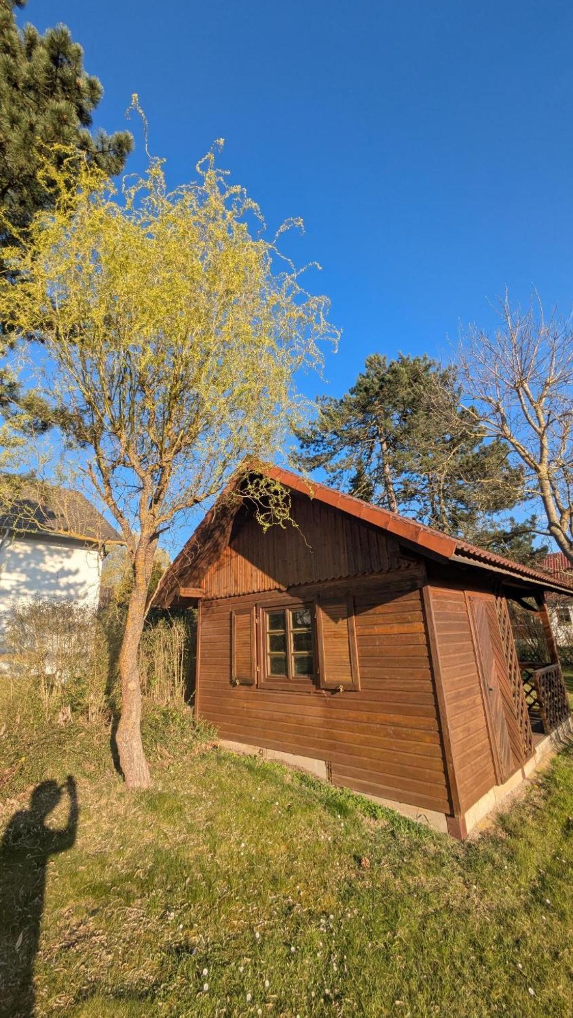 Landhotel Sonneneck - Breuna Im Naturpark Eksteriør billede
