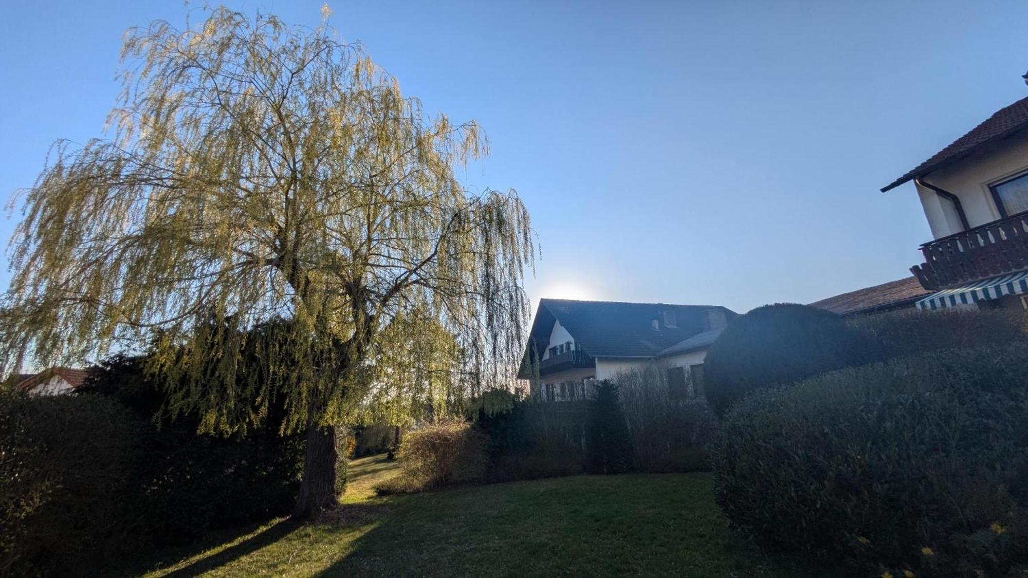 Landhotel Sonneneck - Breuna Im Naturpark Eksteriør billede